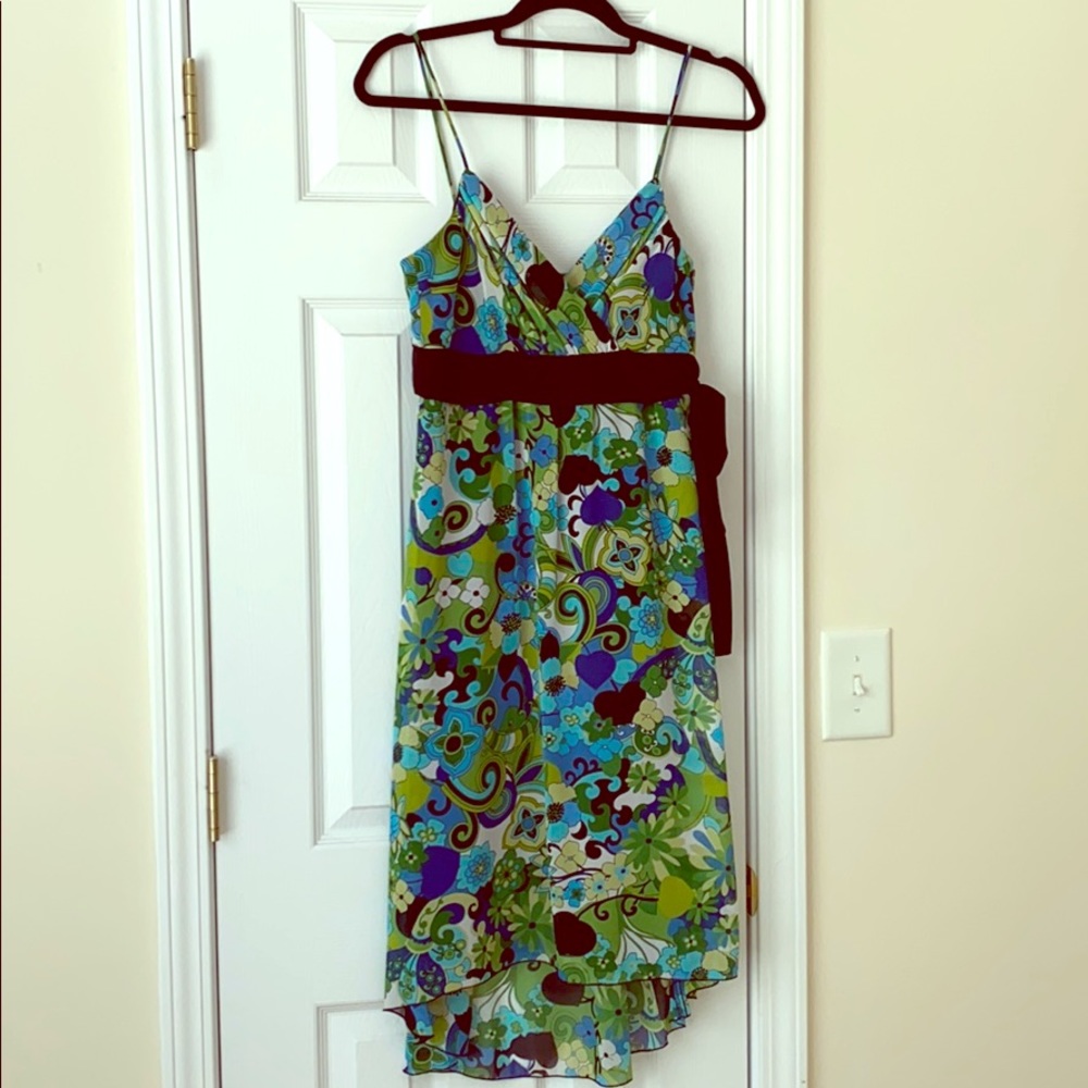 Rabbit x3 Designs Printed Dress size 6